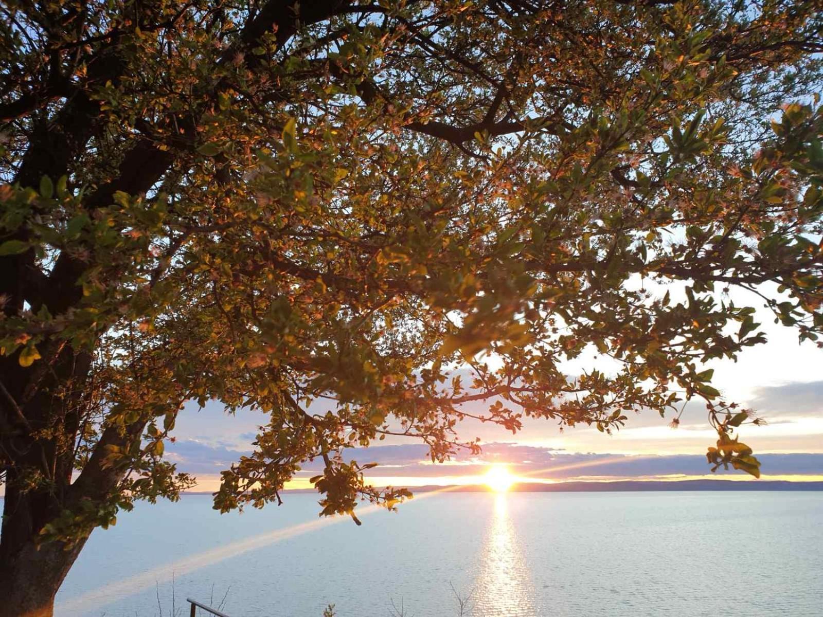 Panoramic Apartments Balatonvilágos Exteriör bild